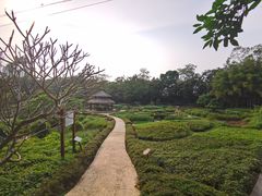 -广西壮族自治区药用植物园