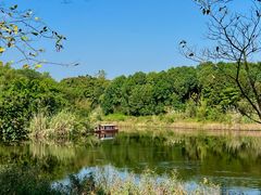 -白鹭湾湿地公园