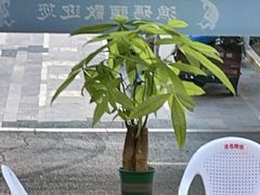 -渔码头食府(蓬莱阁店)