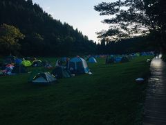 -武陵山森林公园