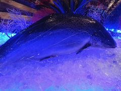 -青岛青龙美爵酒店·阳光海岸西餐厅