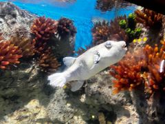 -福州罗源湾海洋世界旅游区