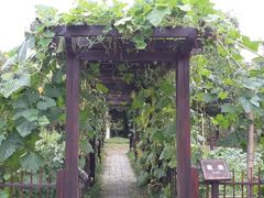 android_upload_pic-朱家角课植园