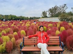 -天津东丽湖风景区