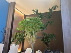 -香港狮子山下·明星粤菜餐厅(北苑店)