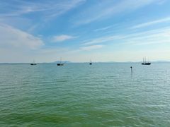 -贡湖湾湿地公园