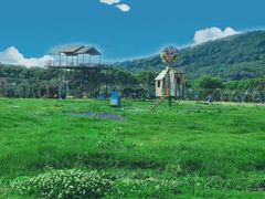 -苏州太湖西山岛开心农场