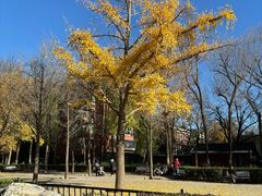 -北京京滨饭店客房
