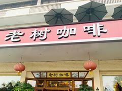 门面-OLD TREE老树咖啡·西餐厅(台山人工湖店)