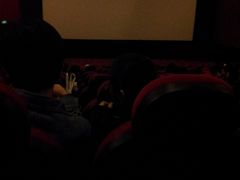 放映厅-AMG海上明珠影城(上海环球港RealDCinema店)