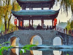 -棠湖公园