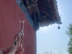 -洛阳白马寺