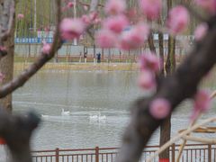 -雁滩公园