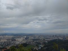 -长虫山生态公园风景林