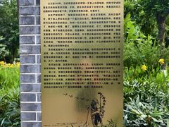 -重庆彩云湖湿地公园