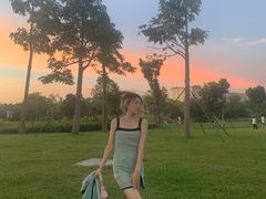 -宝安西湾红树林湿地公园