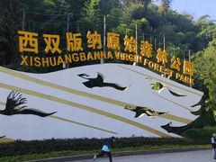 -西双版纳原始森林公园