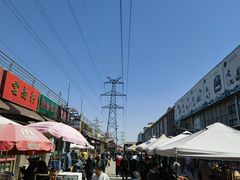 -中环花鸟鱼虫市场
