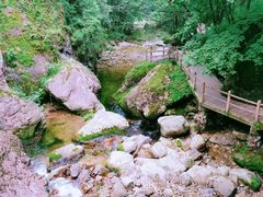 -牛背梁国家森林公园