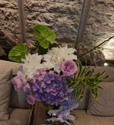 -VELEE·SPA高定疗愈会所