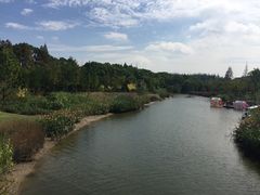 -上海长兴岛郊野公园