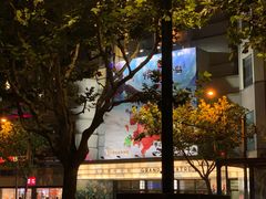 -大光明电影院(南京西路店)