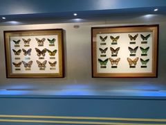 -上海昆虫博物馆