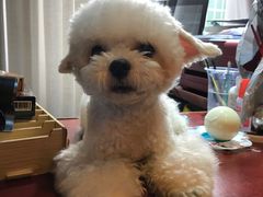 -伽利略剧本探案馆(国贸店)