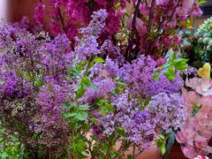 -BEAST野兽派(上海浦东嘉里城店)