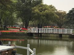 -无锡梅园公园