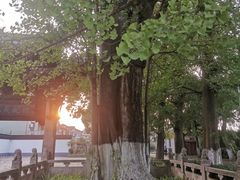 -瀛洲公园