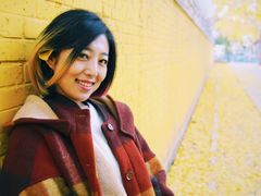 -三里屯东五街银杏大道