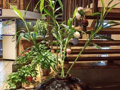 -滇铺子·云南特色菜·第九届野生菌美食节(东风东路c86店)