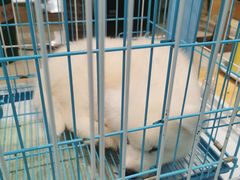 -龟与熊猫宠物公园(南坪店)