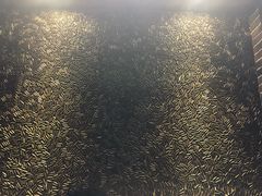 -真枪会射击俱乐部(河西中央公园店)
