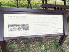 -洪湖生态旅游区