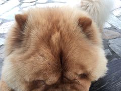 -看见远方·莫干遥远的山民宿