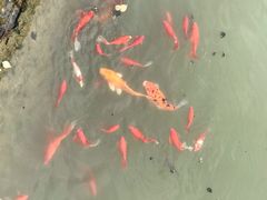 -龙潭水乡