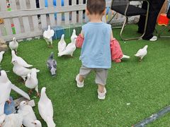 -万隆广场(昆仑大街店)