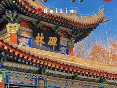 -西安碑林博物馆