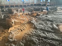 -自贡恐龙博物馆