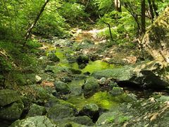 -关门山森林公园