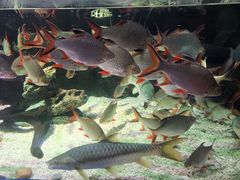 -太平洋海底世界