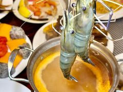 -广州万富希尔顿酒店-感趣自助餐厅·生蚝海鲜刺身