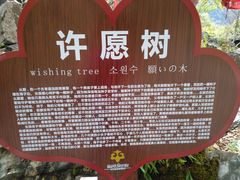 -叠溪松坪沟景区