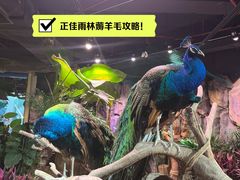 -正佳雨林生态植物园
