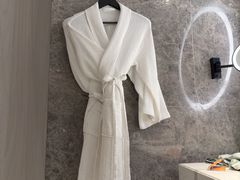 -新加坡乌节希尔顿酒店 (SG Clean)