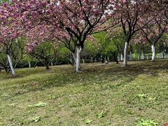 -白塘生态植物园