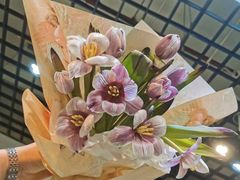 -双季花艺园艺市场(浦东店)