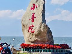 -小普陀